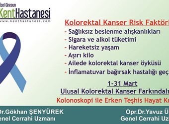 1-31 MART KOLOREKTAL KANSER AYI